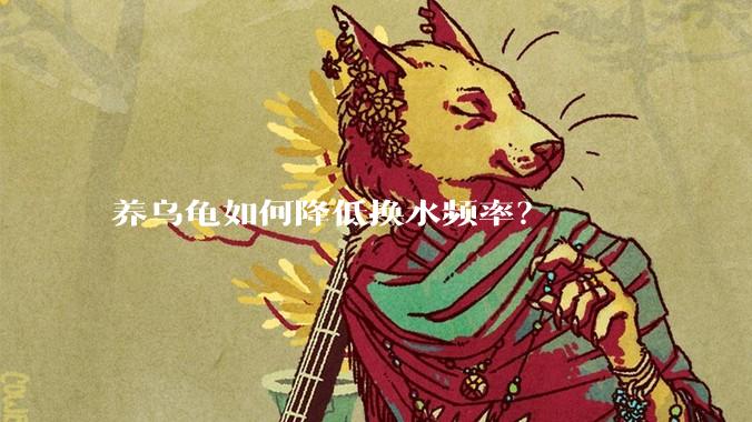 养乌龟如何降低换水频率？